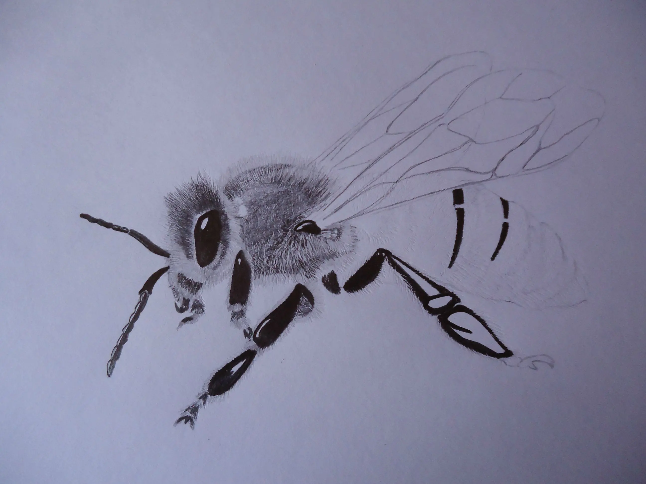 dibujo en 3d