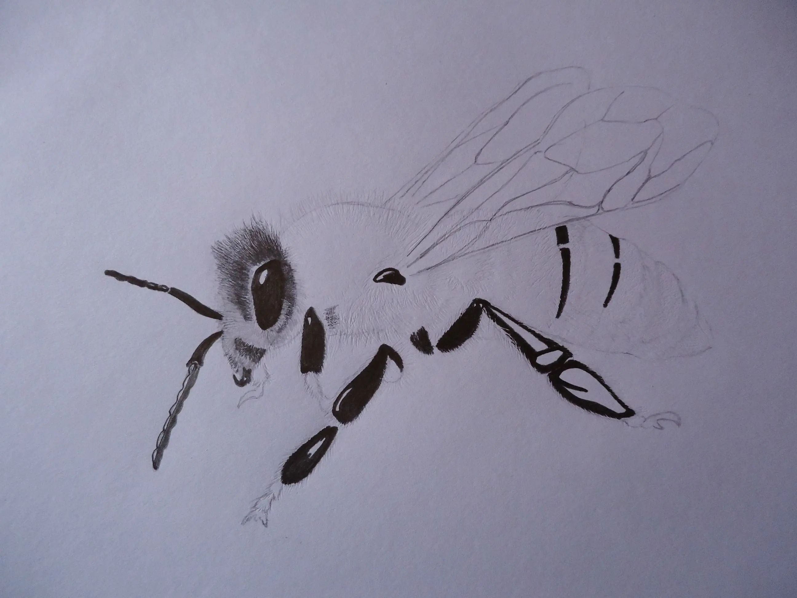 abeja