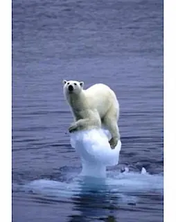 Medioambiente