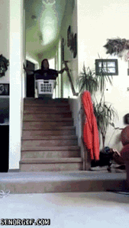 50 Gifs Variados....Parte 2