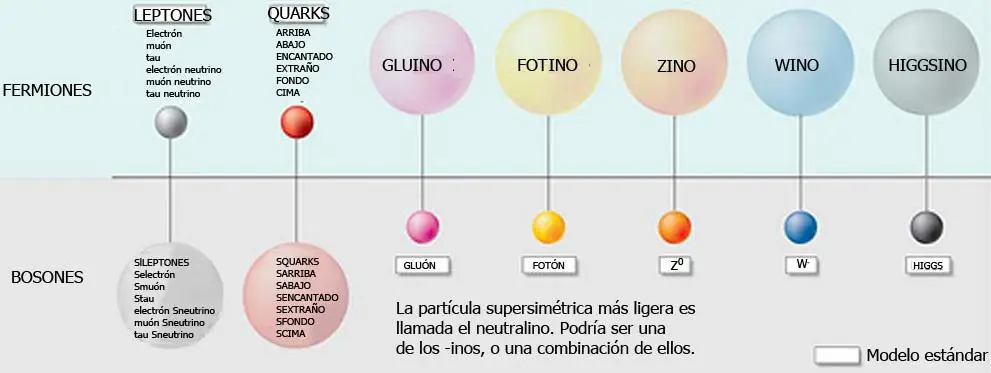 [Megapost] Todo sobre la teoria de la Gravedad Cuántica