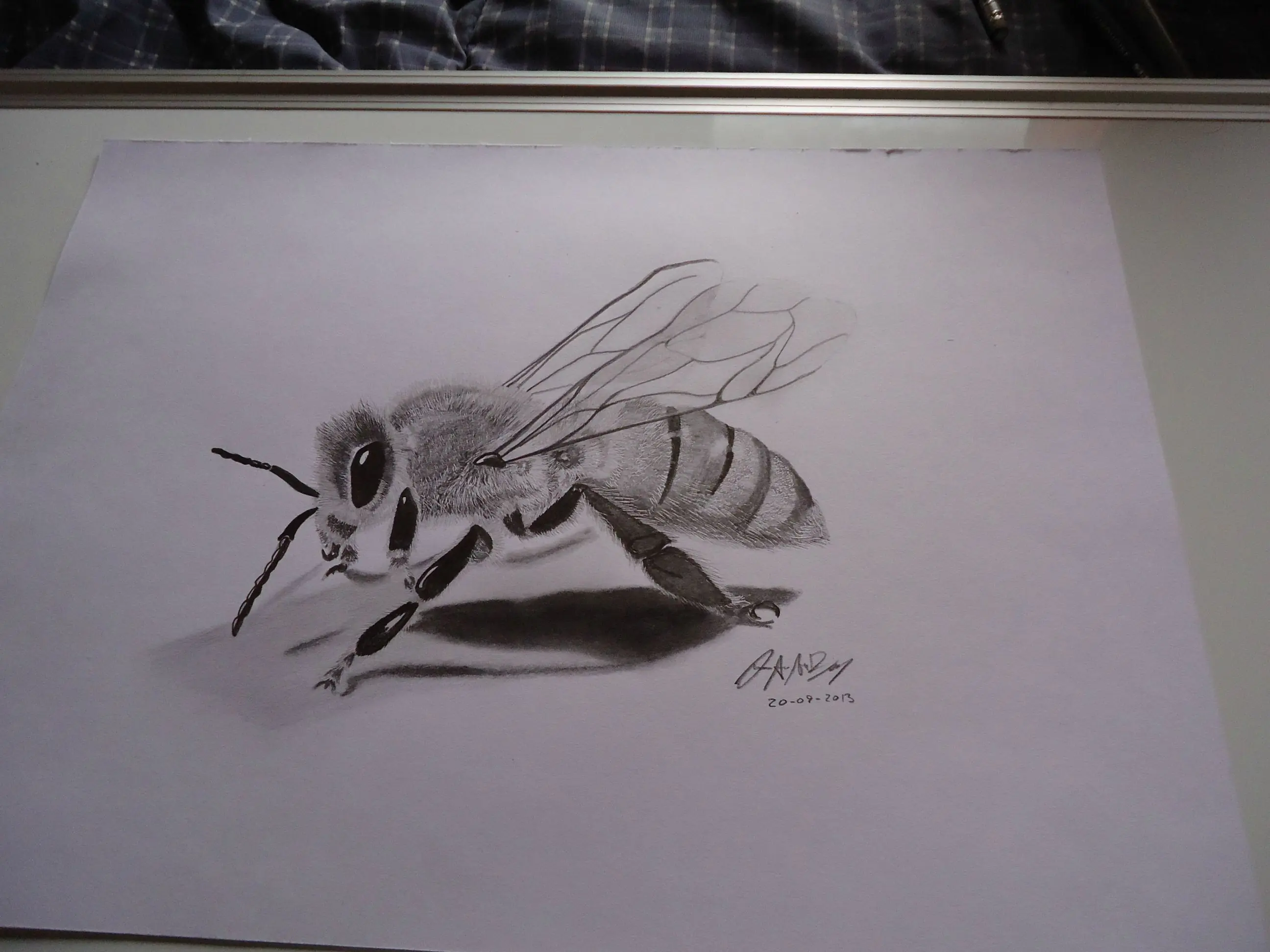 Dibujo de abeja con efecto 3D