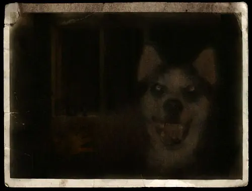 Smile Dog jpg - Historia (loquendo)