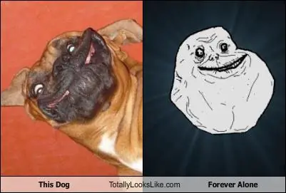 fail