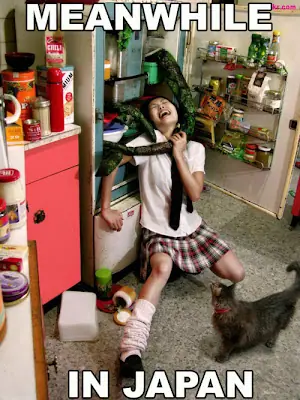 Mientras tanto en japon...