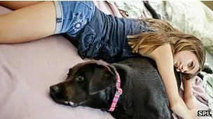 perros