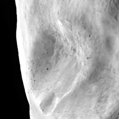 rosetta
