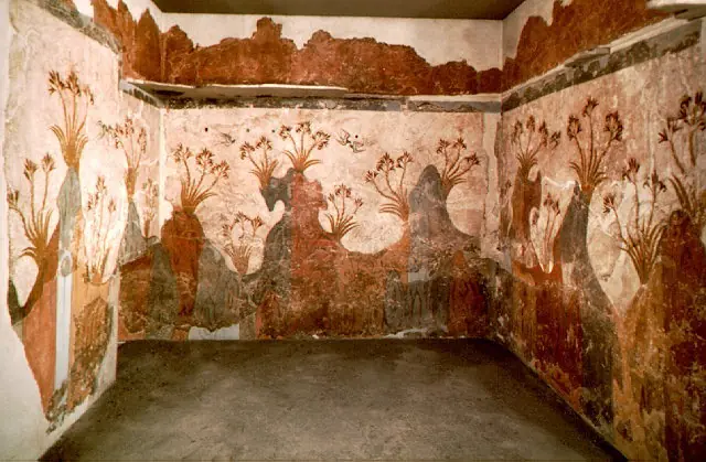 patrimo