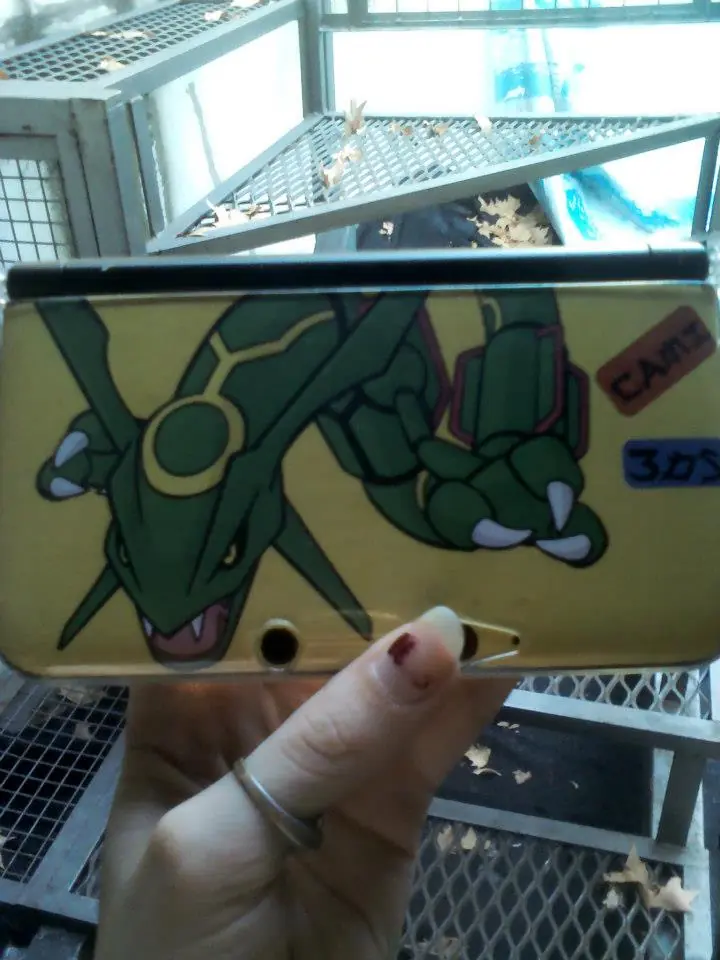 3DS