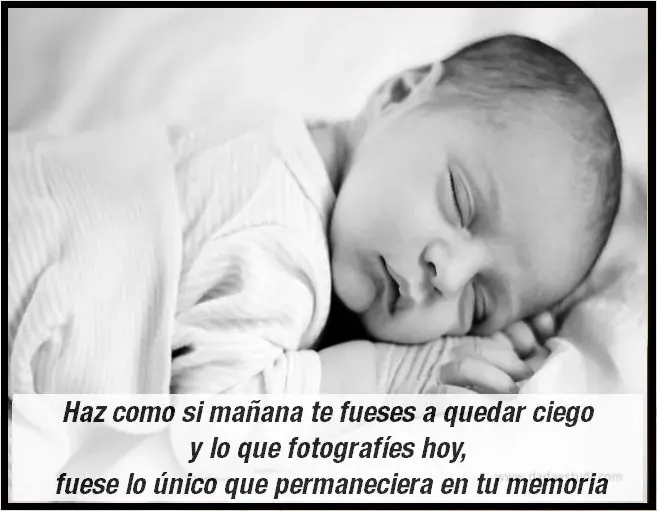 fotografia