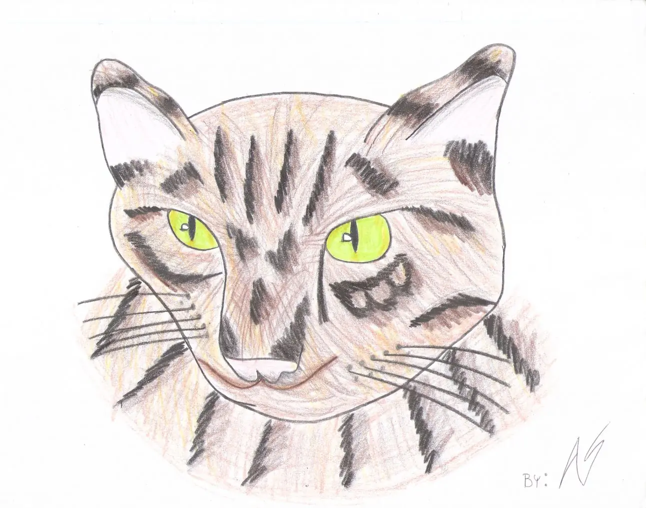 Mi Segunda Toma De Dibujos (Misterio51)