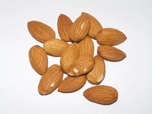 saludable
