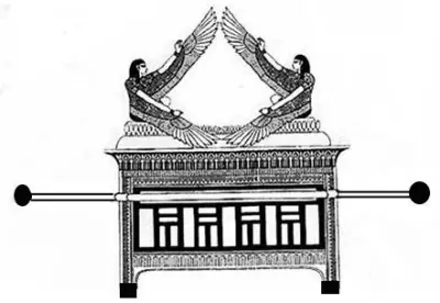 anillos