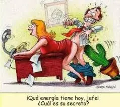 divertidas