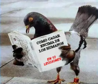 humor