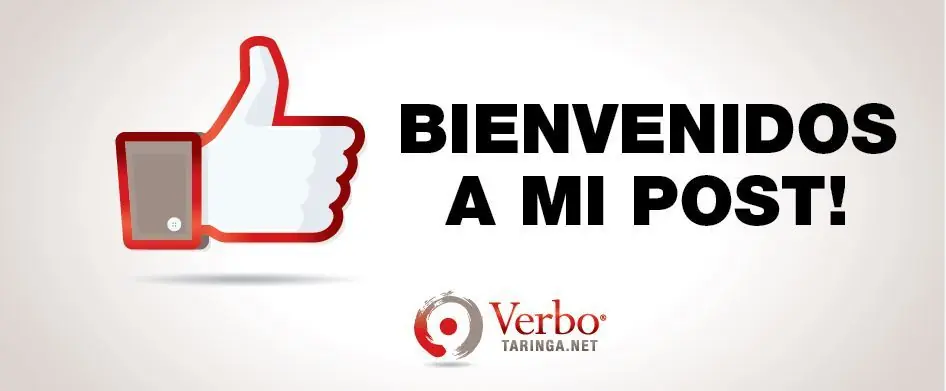 20 Reacciones de un Diseñador Web