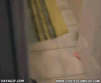 +10 seguro te gustara imagenes graciosas y gifs