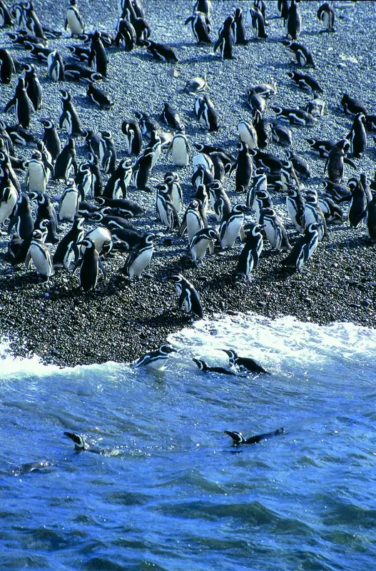 chubut