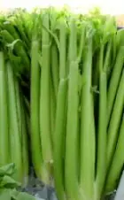 Calendario de Frutas y Verduras del mes de Mayo