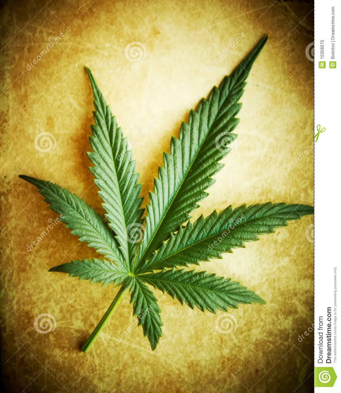 Científicos prueban que la marihuana cura el cáncer