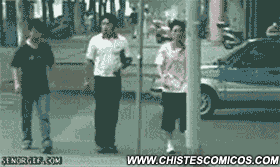 +10 seguro te gustara imagenes graciosas y gifs