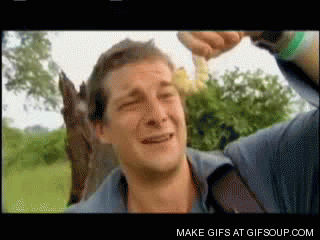 Insectos que podrías comer.