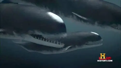 El Carcharodon Megalodon.El Tanque de las Profundidades.