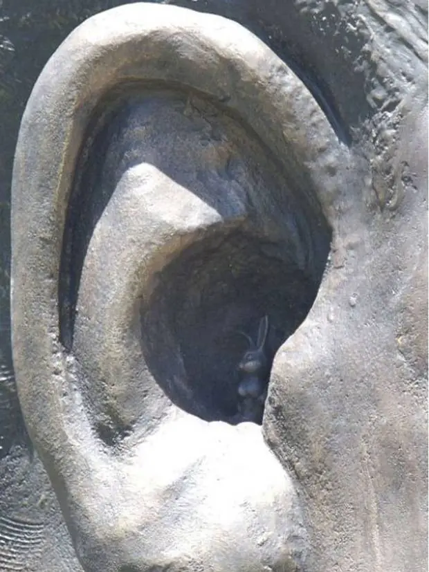 conejo
