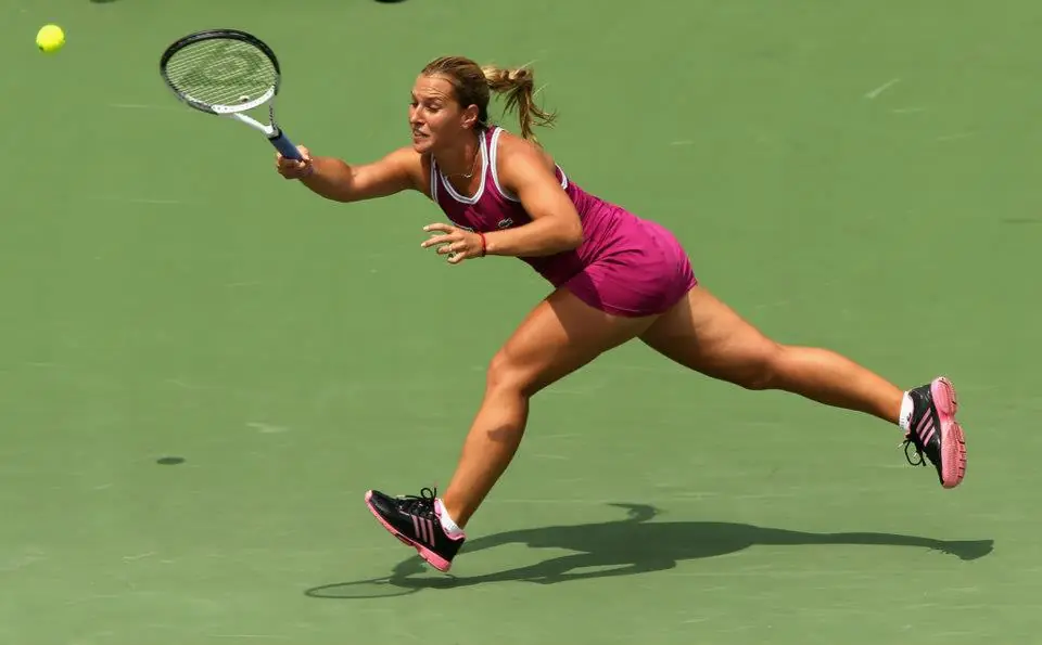 Cibulkova