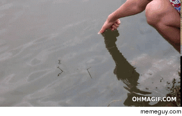 gif graciosos