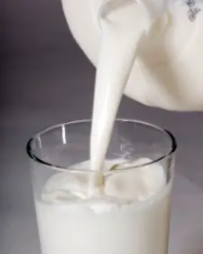 La leche de vaca es mala para la salud
