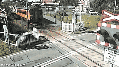 Gifs graciosos + mi agregado Vers. 53