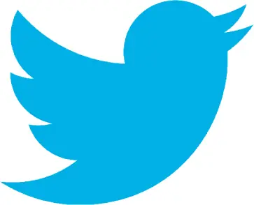 Twitter sale a bolsa