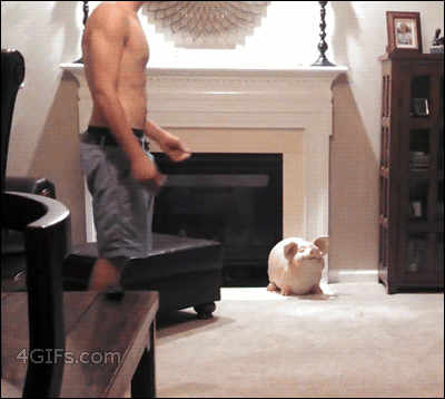 Gifs graciosos + mi agregado Vers. 53