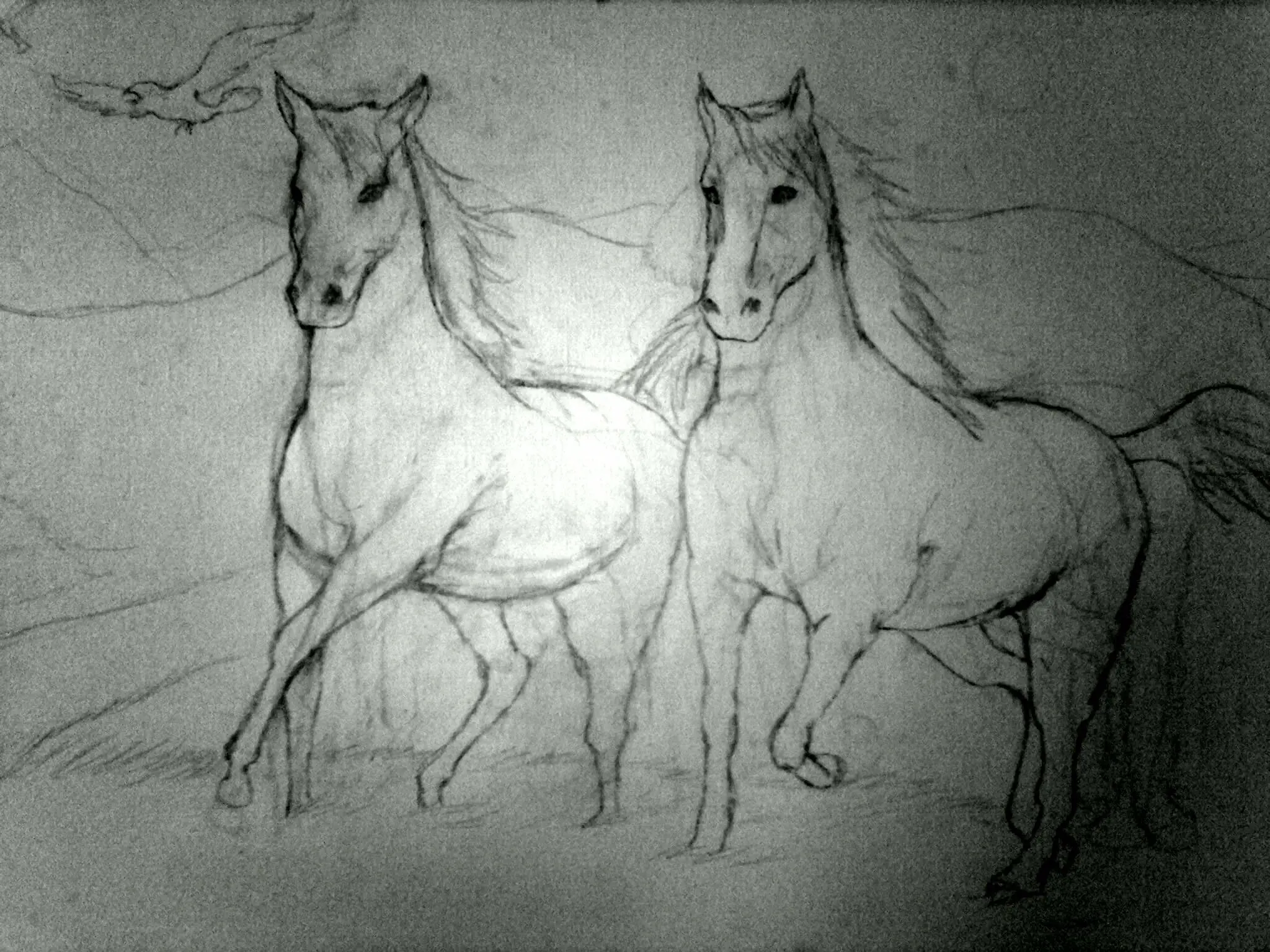 dibujos
