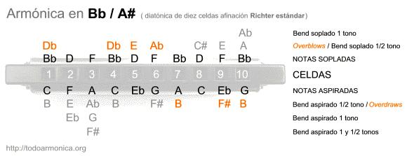 notas