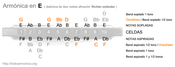notas