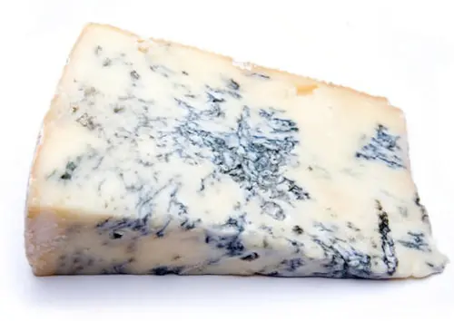 queso azul (posible cura para el cancer)