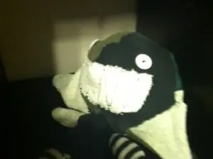 simio