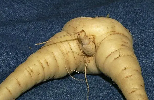 naturaleza