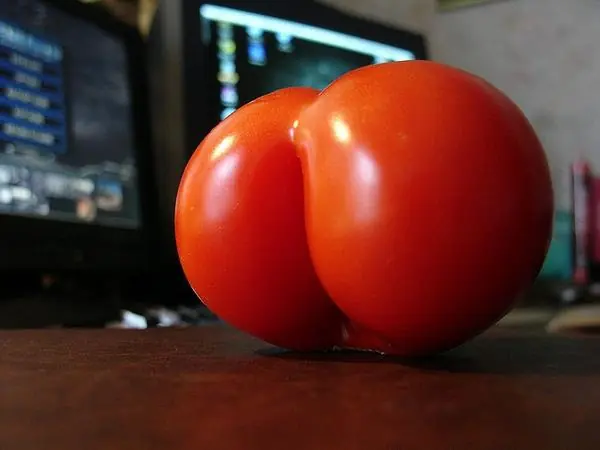obscena