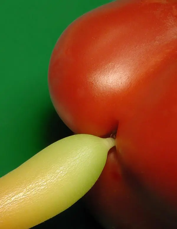fondos