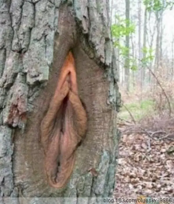 imagenesgraciosas