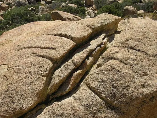 Naturaleza Doble Sentido