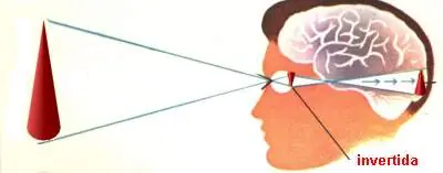 caracteristica