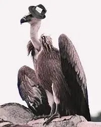 taringueros