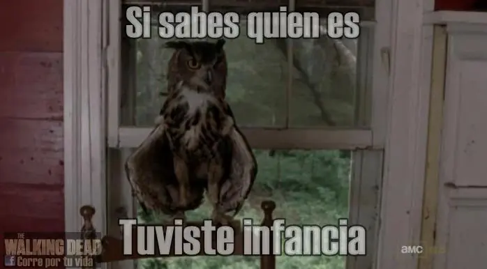 humor
