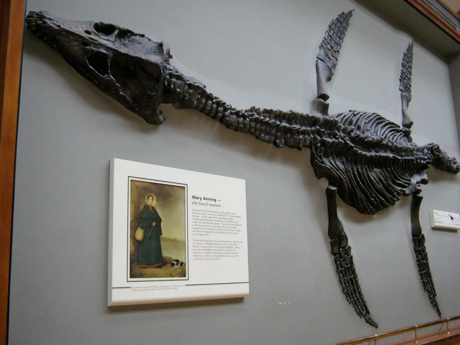 La plesiosauria que te parió!