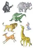 Datos Curiosos De Animales. Interesante...
