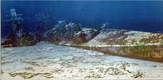 Submarinos